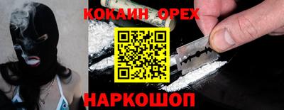тгк Кингисепп
