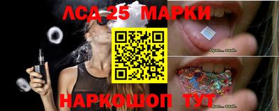 тгк Кингисепп