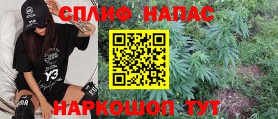 тгк Кингисепп