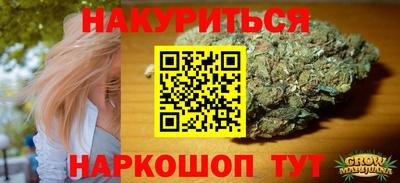 тгк Кингисепп