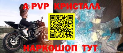 тгк Кингисепп