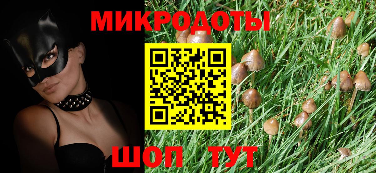 Псилоцибиновые грибы Psilocybe  Вход с VPN  закладка  Киселёвск 